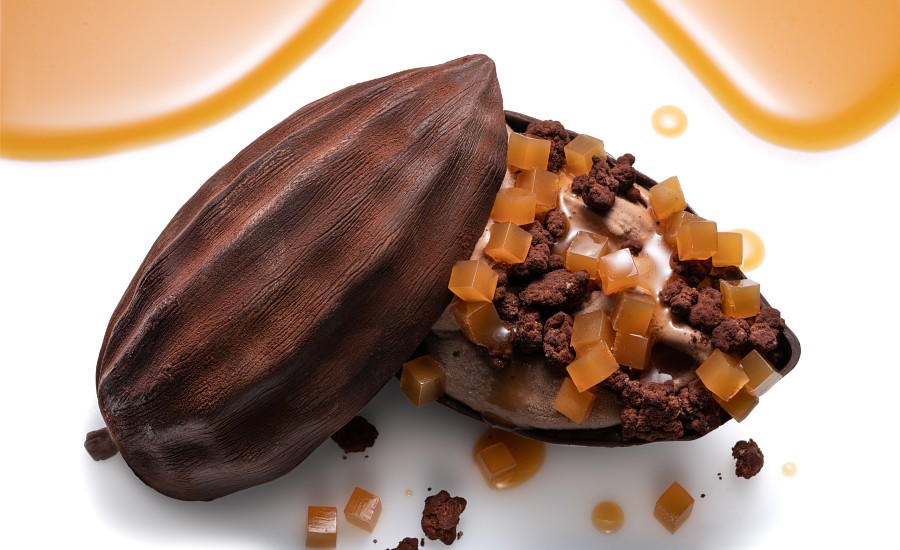 Valrhona cocoa fruit juice concentrate