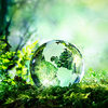 Green earth stock image sustainability 