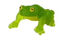 Pacific Giant Glass Frog_Yowie