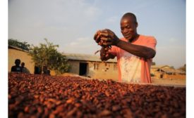 Mars, Inc. to support 14,000 cocoa farmers on a path to sustainable living income by 2030