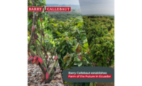 Barry Callebaut establishes Farm of the Future to power cocoa farming research and innovation