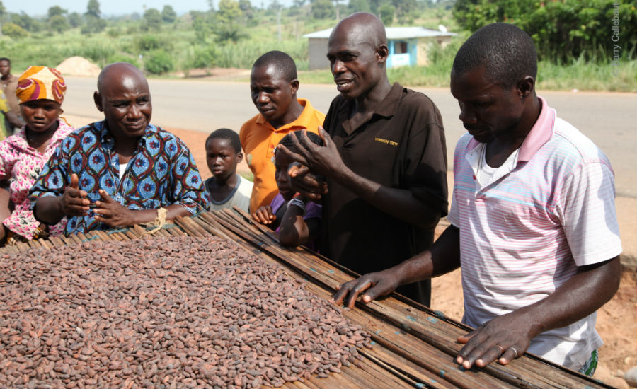 Ivory Coast cocoa farming_Barry Callebaut