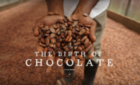 "The Birth of Chocolate" exhibition documents the creation of chocolate from seed to bar.