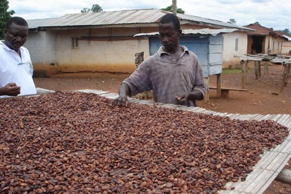 Cocoa Farmer World Cocoa Foundation
